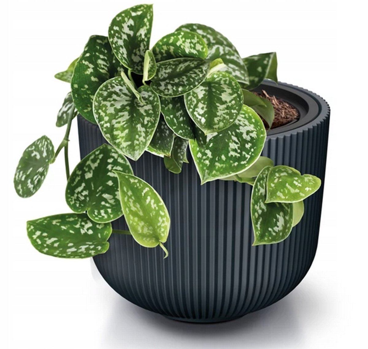 Milly Antraciet Bloempot met Inzet - 25,7 cm Hoog - Geribbeld