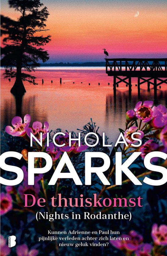 De thuiskomst - cover