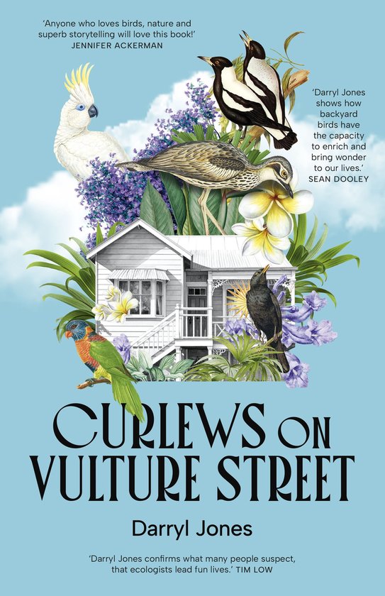 Curlews on Vulture Street - cover