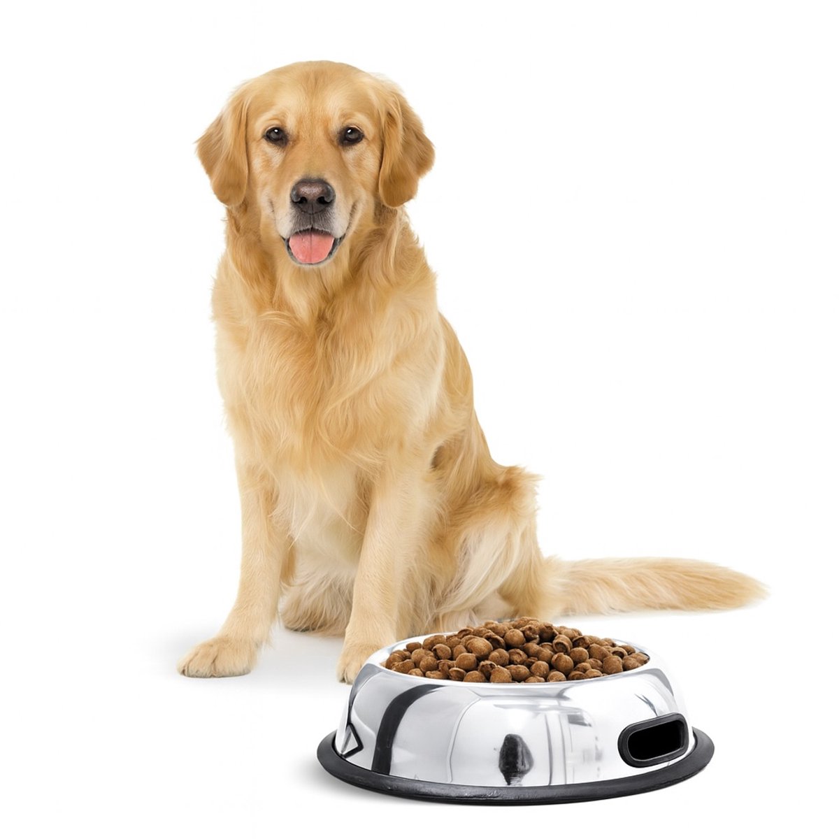 Nobleza Hondenvoerbak - RVS - Met handgreep - Maat M - Inhoud 800 ml - Honden voerbak - Honden drinkbak - Anti slip