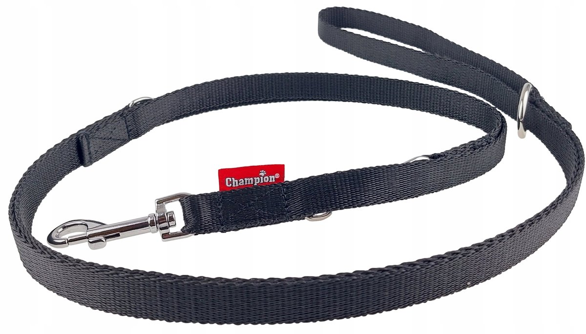 Champion Hondenlijn Verstelbaar 225cm Zwart - Duurzaam & Veilig