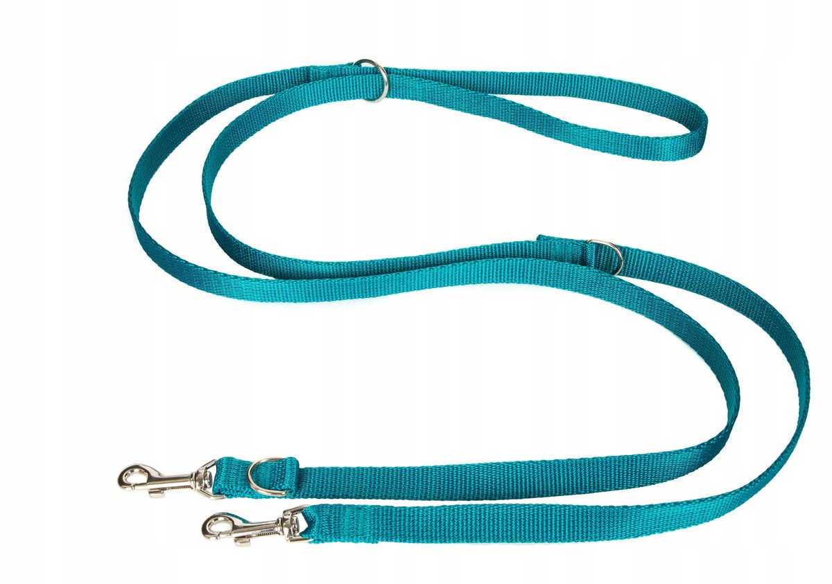 Verstelbare Hondenlijn 16mm 110-185cm - Blauw