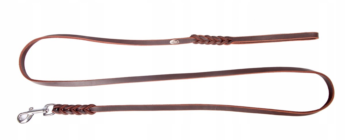 Dingo Zacht Lederen Gevlochten Hondenhalsband 0,8x180cm Bruin