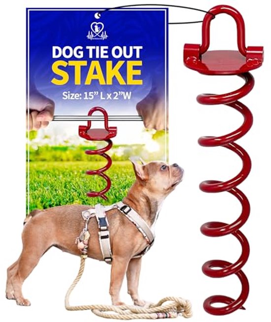 Hond Tie Out Stake - Heavy Duty Outdoor Grond Spiraal Anker met Draairing voor Kabel - Veilig voor Hond of Puppy in Tuin, Park, Camping of Strand