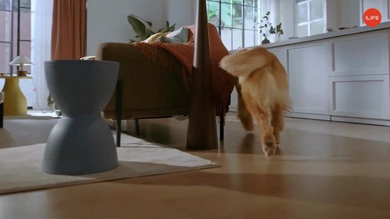 ILIFE Robotstofzuiger V20 SoF met lasernavigatie, 5000 Pa, individuele reiniging voor dierenharen en verschillende vloeren, app