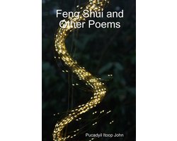 Feng Shui and Other Poems