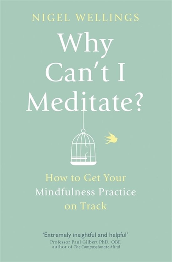 Why Cant I Meditate - cover