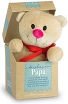 Vaderdag - Pluche beertje in een doosje - Berelieve papa - In cadeauverpakking met gekleurd lint
