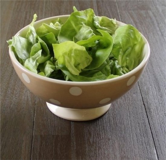 Frisse groene sla in een taupekleurige saladeschaal met witte stippen op een houten tafel.