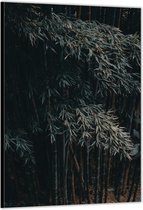 Dibond –Bamboe Bos– 80x120cm Foto op Aluminium (Wanddecoratie van metaal)