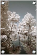 Tuinposter –Rivier met Witte Bomen en Planten– 80x120cm Foto op Tuinposter (wanddecoratie voor buiten en binnen)