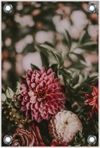 Tuinposter –Bloemen Close-up– 80x120cm Foto op Tuinposter (wanddecoratie voor buiten en binnen)