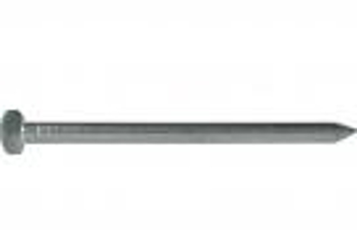 Ivana Draadnagel rvs 1.6x20mm bolkop (1kg)