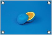 Tuinposter –Blauwe Sinasappel door de Helft– 150x100 Foto op Tuinposter (wanddecoratie voor buiten en binnen)