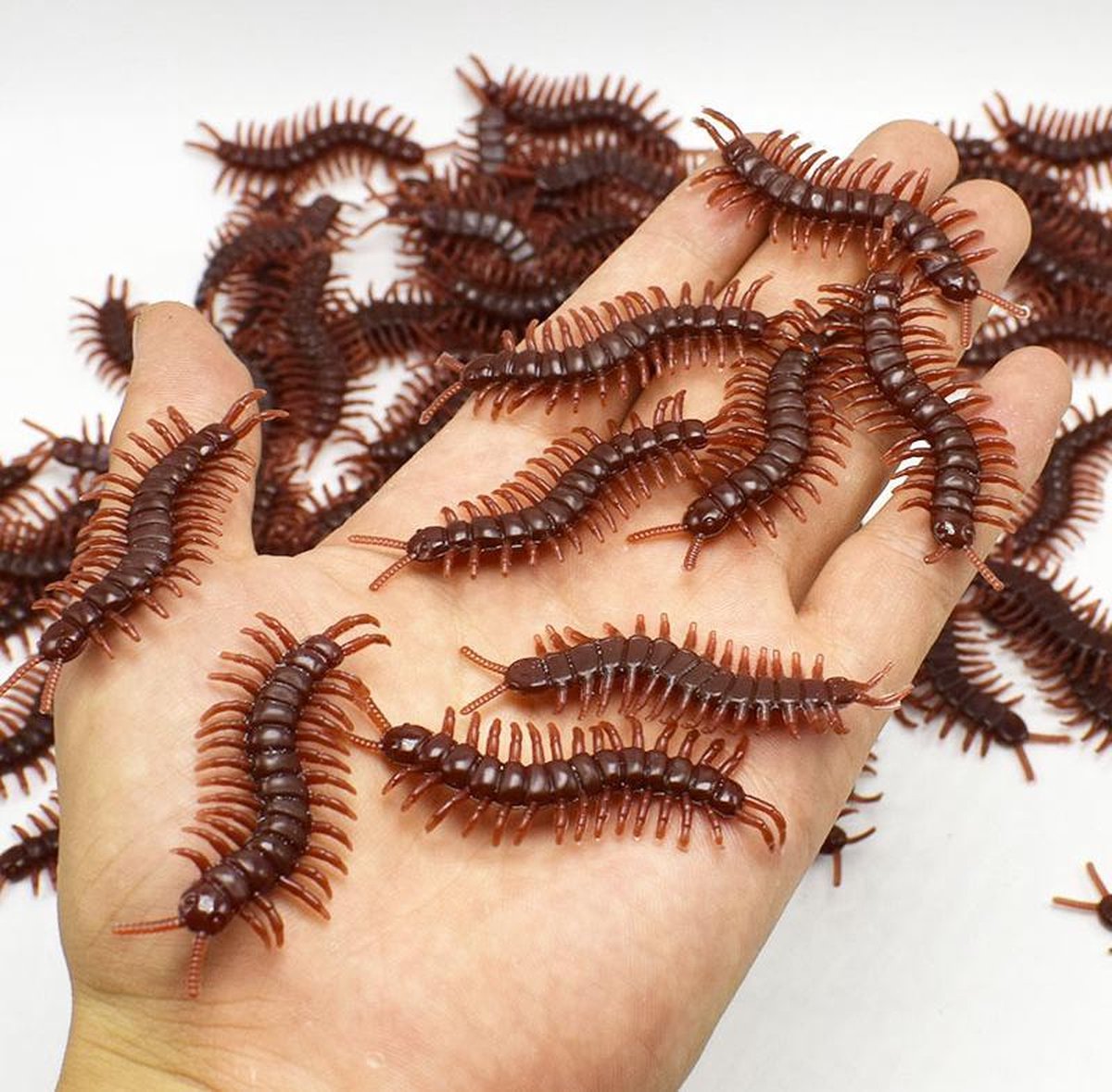 hiërarchie Beneden afronden Ontbering Nep Duizendpoot Set 10 stuks - Insect - Prank - Fake Centipede | bol.com