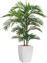 HTT - Kunstplant Areca palm in Genesis vierkant wit H150 cm