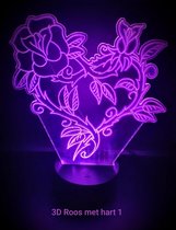 3D led lamp ROOS MET HART 1