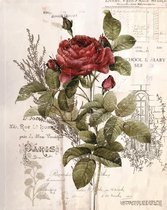 Re.design transfer Botanical rose
