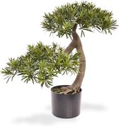 Podocarpus kunst Bonsai 55 cm