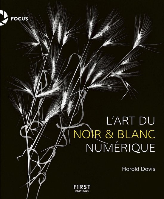 L'art du noir et blanc numérique - cover
