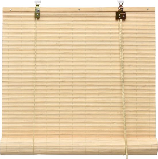 Illustreren huiswerk maken been Sol Royal rolgordijn bamboe 110x160 cm SolDecor B86 - rolgordijnen zonder  boren -... | bol.com