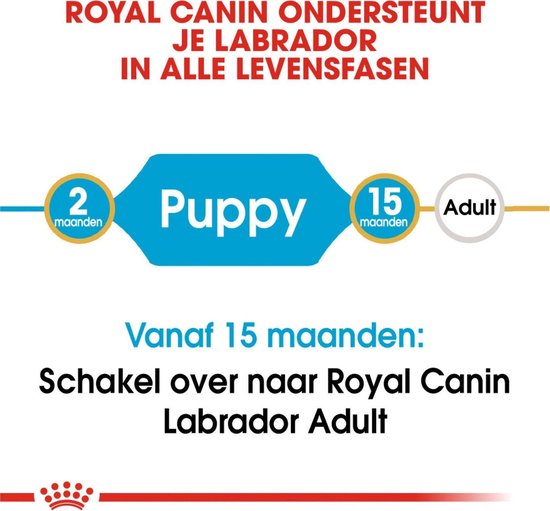 Royal Canin Labrador Retriever Junior - Hondenbrokken - 12 kg - Royal Canin