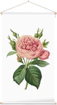 Roos Aquarel (Rose) - Foto op Textielposter - 40 x 60 cm