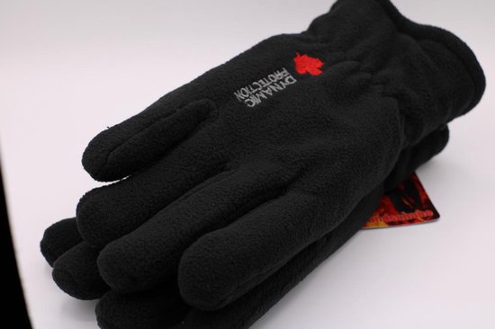 Zonder hoofd Groenteboer streepje handschoenen heren winter – Mega thermo handschoenen met fleece – Zwart L |  bol.com