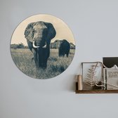 Peinture Photo Art Ronde  | Duo d'éléphants | 60 x 60 cm | AfficheGuru
