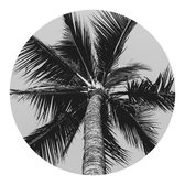 Schilderij wandcirkel  | Palmbomen | 70 x 70 cm | PosterGuru