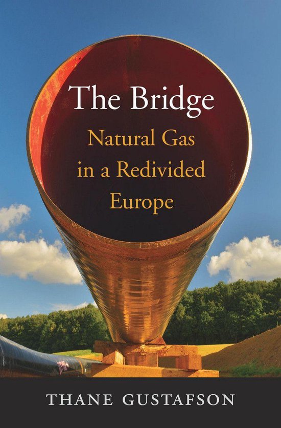 Omslag van The Bridge