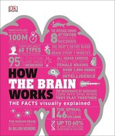 DK How Stuff Works - How the Brain Works