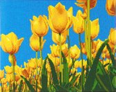 Diamond Painting Crystal Art Kit®, Spring Tulips, 40x50cm, full painting