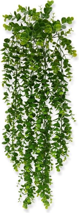 Eucalyptus kunsthangplant 70 cm
