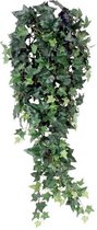 Hedera hangplant 80cm groen