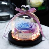 Onsterfelijke Roos in Glas – Regenboog - Moederdag – Valentijn cadeautje – Huwelijk – Roos in Glas – Decoratief