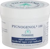 Vitafarma Pycnogenol 100 30 capsules
