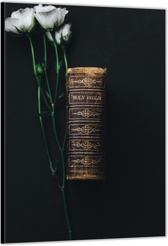 Dibond –De Heilige Bijbel - Holy Bible– 60x90cm Foto op Aluminium (Wanddecoratie van metaal)