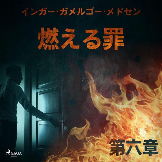 燃える罪－第六章 - cover