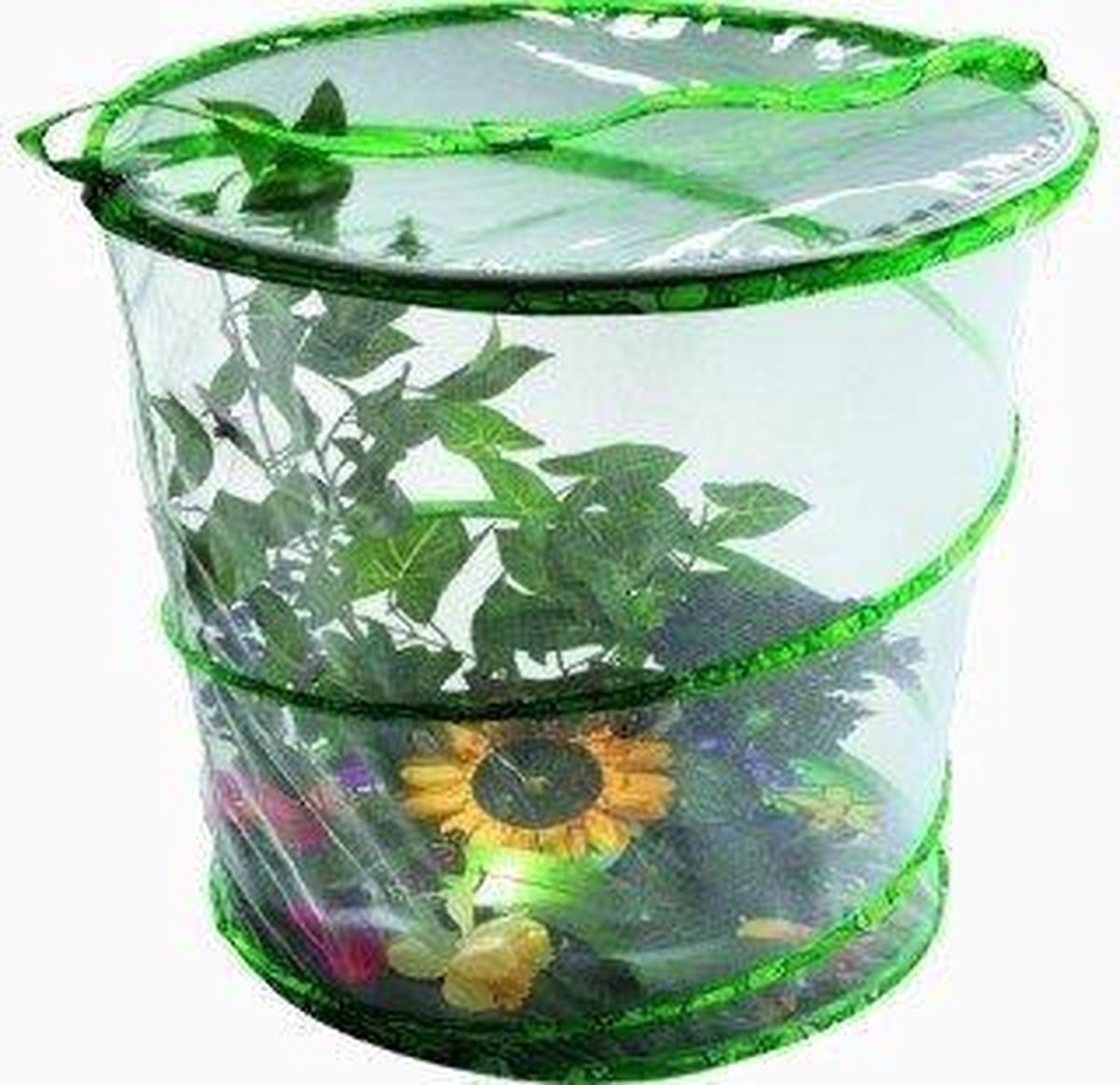 Insect Lore Butterfly Garden (60099)