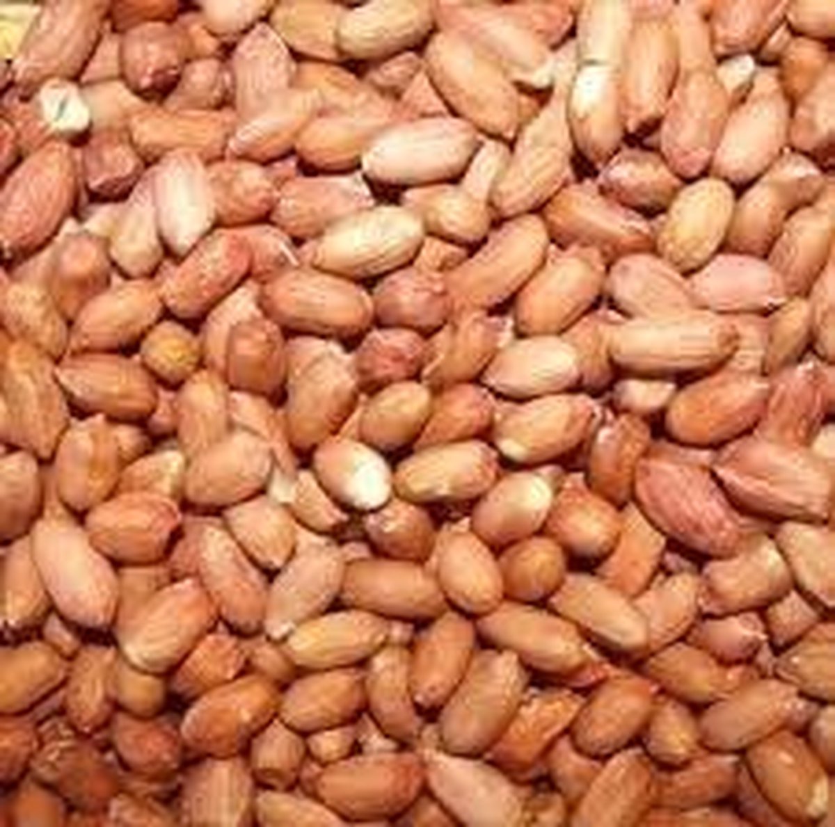 Emmer gepelde pinda's 2,5 kg