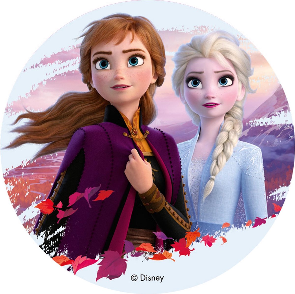 DEKORA - Frozen 2 eetbare taartdecoratie 20 cm