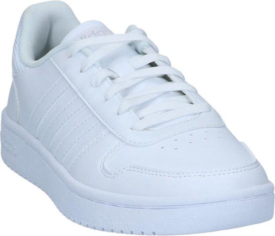 Witte Sneakers adidas Hoops 2.0 Dames 36 | bol.com