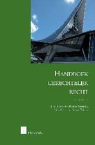 Handboek gerechtelijk recht, 2e editie (pb)