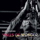 Daniel Dzidzonu - Walls Of Wonder (LP)