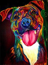 Gekleurde Stafford Hond Schilderen op Nummer Volwassenen & Kinderen met Frame – Paint By Number met Canvas Schildersdoek 40x50 & Acrylverf