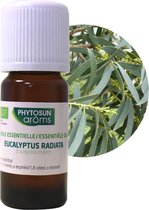 Phytosun Huile essentielle Eucalyptus Radiata Bio - stimule la résistance 10ml
