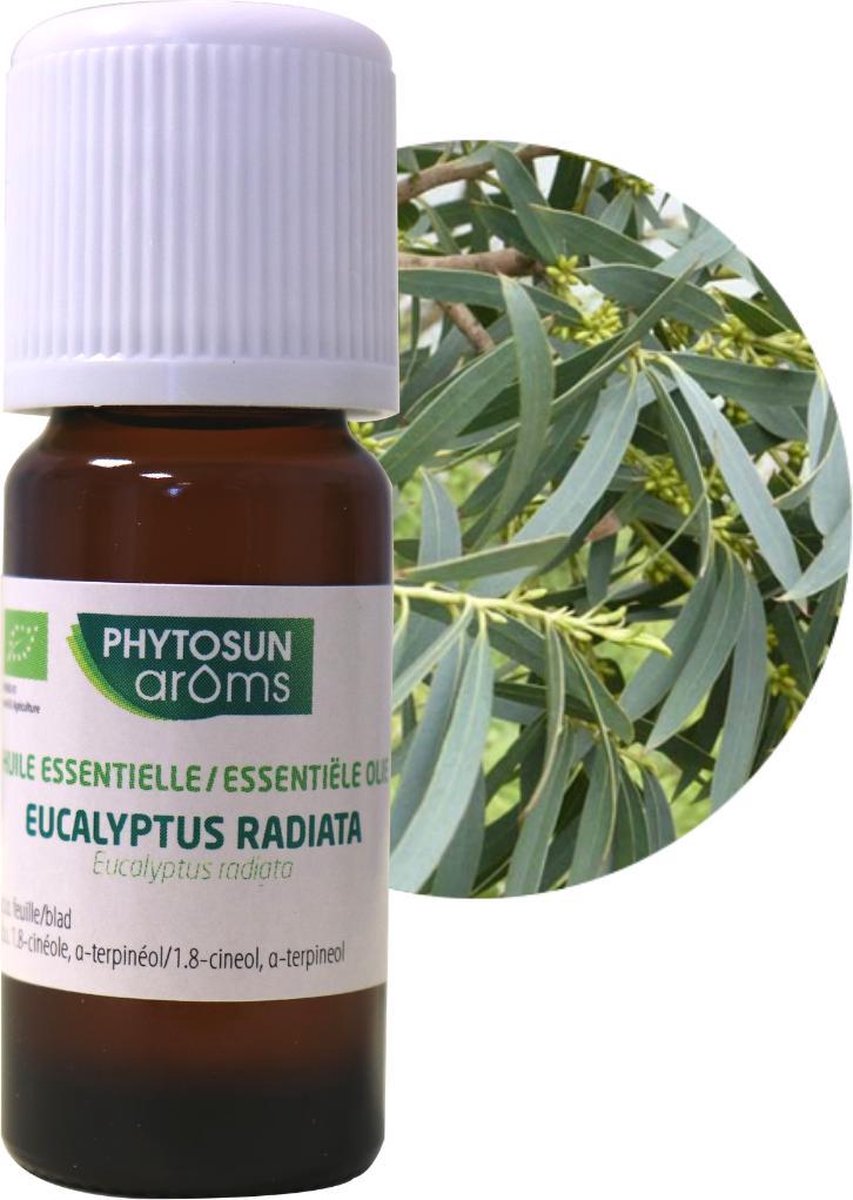 Phytosun Arôms Huile Essentielle Eucalyptus Radiata Bio Respiration Et  Immunité Flacon 10ml