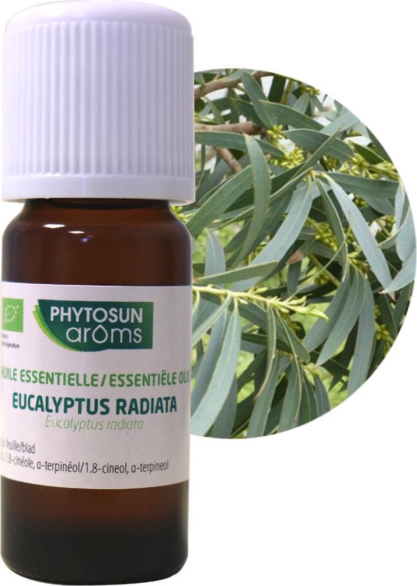 Goedkoopste Phytosun Essentiële Olie Eucalyptus Radiata Bio - stimuleert de weerstand 10ml