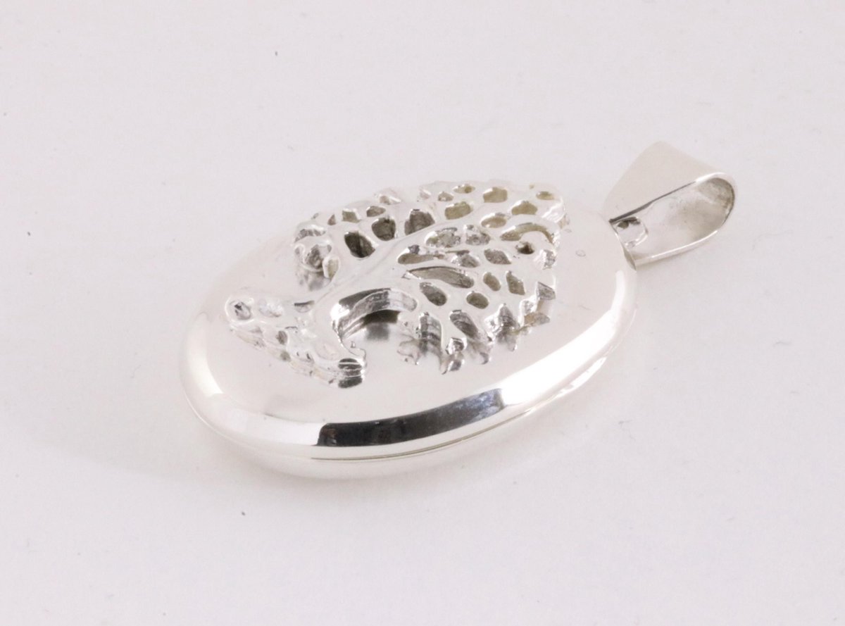 YAFEINI Levensboom medaillon ketting sterling zilveren medaillon